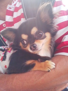 �O��������