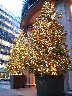 ���{���O�z�B