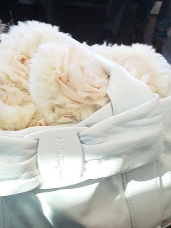 �P��s���B