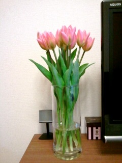 �����̂��ԁB