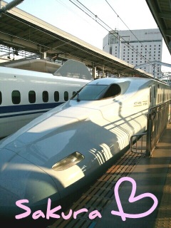 �V���� �������