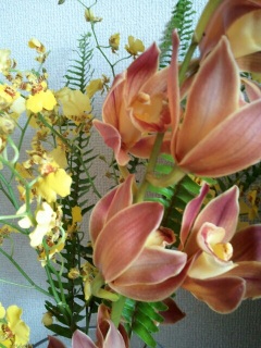 ���ꂩ��c��