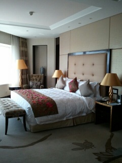 �ߐH�Z�̏Z����