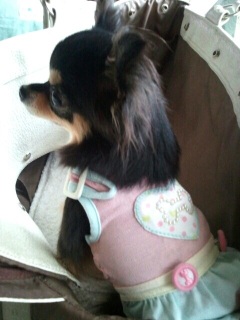 �����c��