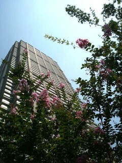 �Ă�������E�E�E