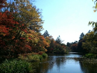 �_��r�Ȃ��B