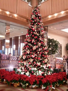 ���C�p�Łc��