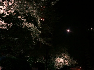 �����l�ƍ�