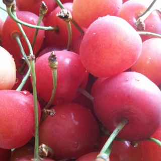 �������ځ�