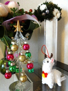 �~���o�P�b�\