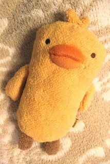 �v���[���g��