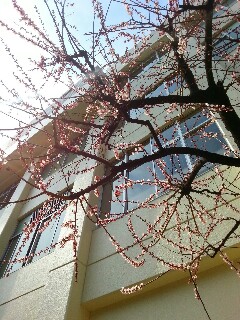 ���f�ցc��